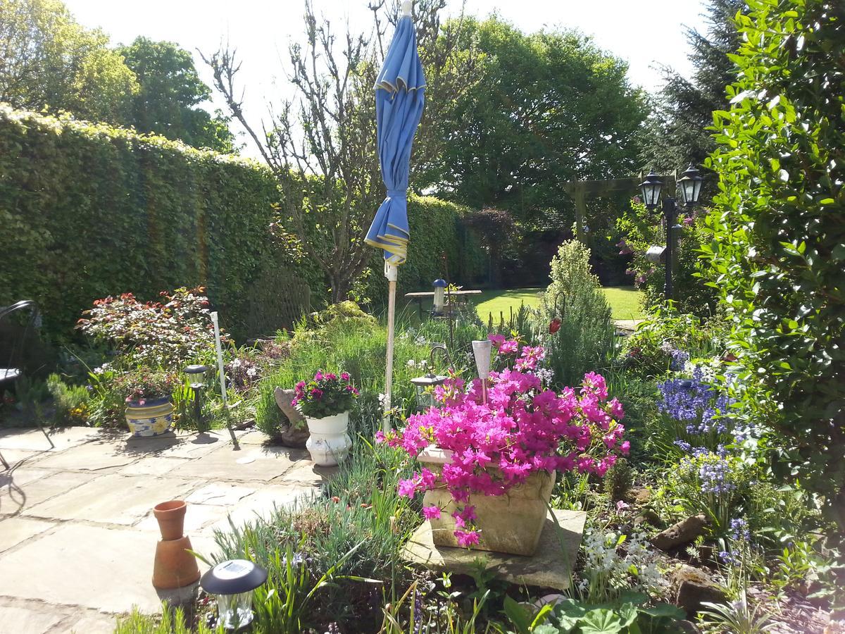 Ugiebrae House Bed & Breakfast North Sunderland Экстерьер фото